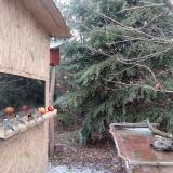 photo 2021-12-28 14-10-30