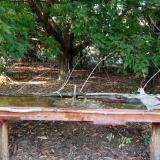 photo 2021-09-11 17-13-00