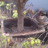 photo 2019-12-12 14-12-22