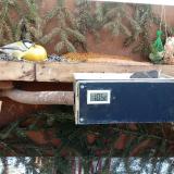 photo 2021-02-13 10-00-14