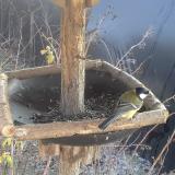 photo 2019-12-30 12-57-40