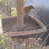 photo 2019-12-18 08-26-47