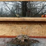 photo 2022-01-20 10-43-54