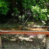 photo 2021-05-15 10-40-02