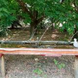 photo 2021-07-05 14-12-01