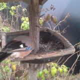 photo 2019-12-12 11-31-27