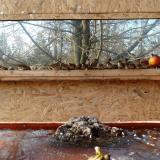 photo 2022-01-27 13-44-42