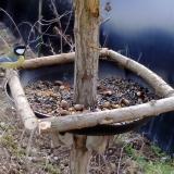 photo 2019-01-03 10-00-49