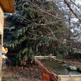 photo 2021-12-15 09-13-43