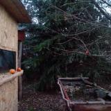 photo 2021-12-25 07-14-28