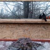 photo 2022-01-20 15-59-01