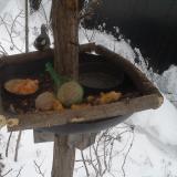 photo 2019-01-23 07-38-01