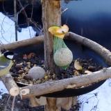 photo 2019-01-15 09-00-20