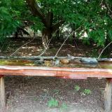 photo 2021-07-24 14-49-04