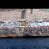 photo 2021-11-30 14-14-11