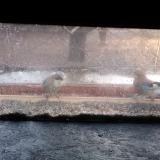 photo 2021-12-10 07-48-56