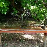 photo 2021-05-15 10-50-19