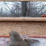 photo 2022-01-20 08-42-19