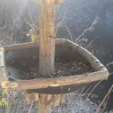 photo 2019-12-30 11-27-19