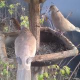 photo 2019-12-15 15-01-42