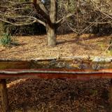 photo 2021-10-26 14-34-40