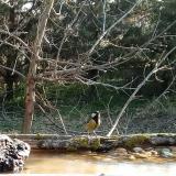 photo 2021-03-11 08-20-10 cinke