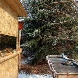 photo 2022-01-09 10-52-39