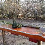 photo 2021-03-20 07-13-15