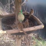 photo 2019-02-10 14-45-50