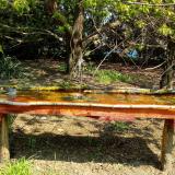 photo 2021-04-21 10-59-51