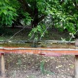 photo 2021-05-25 10-30-51