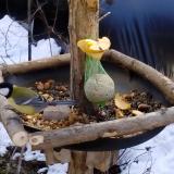 photo 2019-01-14 11-43-28