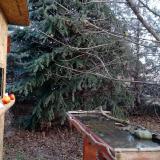 photo 2021-12-15 09-05-51