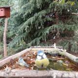 photo 2023-10-09 12-17-06