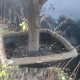 photo 2019-12-25 08-40-55