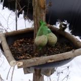 photo 2019-01-10 11-29-16