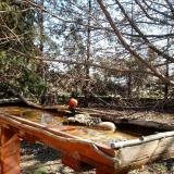 photo 2022-03-23 09-32-03