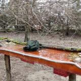 photo 2021-03-24 14-53-13