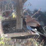 photo 2019-12-25 08-09-15