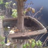 photo 2019-12-08 12-23-28