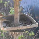 photo 2019-12-16 11-16-16