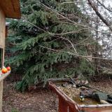 photo 2021-12-16 12-58-20