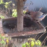 photo 2019-12-14 11-29-24