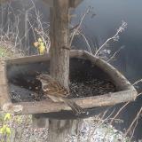 photo 2019-12-29 12-39-34