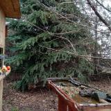 photo 2021-12-16 11-39-18