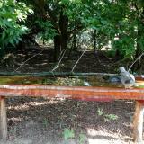 photo 2021-07-24 08-40-12