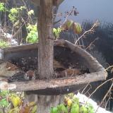 photo 2019-12-02 09-40-04