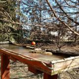 photo 2022-03-11 11-17-10