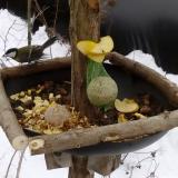 photo 2019-01-12 13-26-04