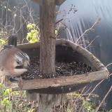 photo 2019-12-22 11-32-28